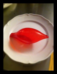 cipolla di zucchero 005