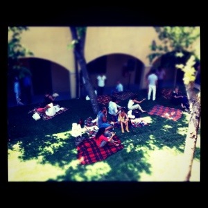 Pic nic White Siviglia.jpg