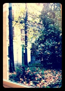 Giardino Refettorio Simplicitas