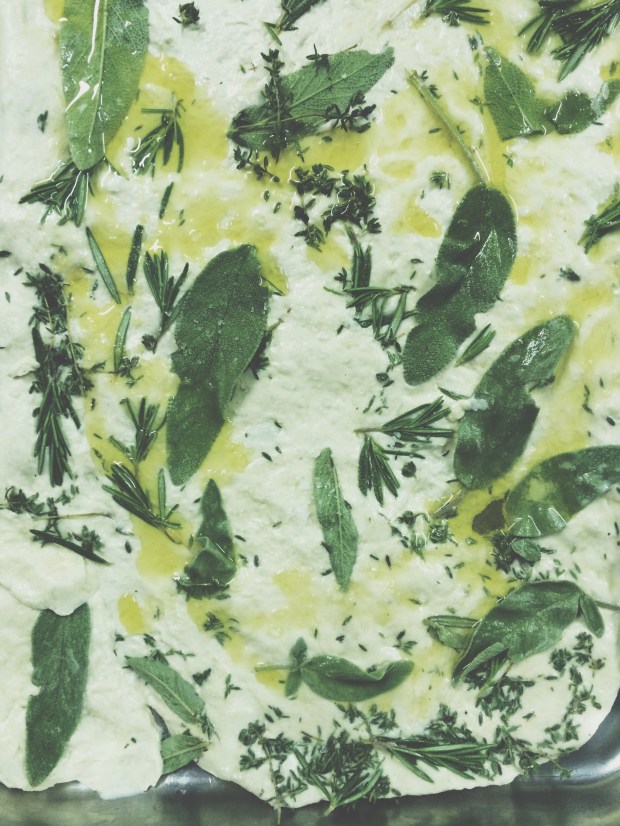 Processed with VSCOcam with t1 preset