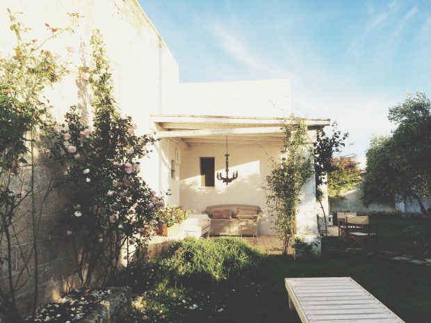 Processed with VSCOcam with t1 preset