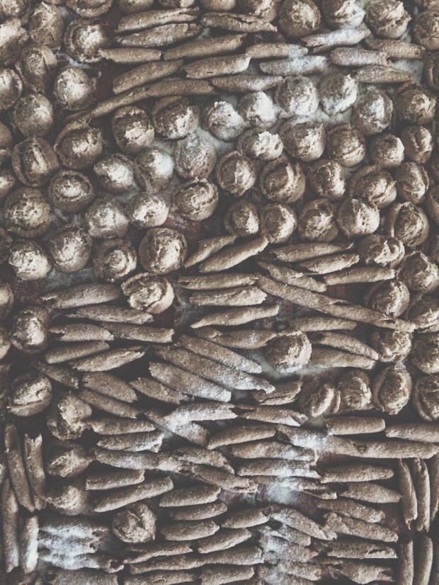 Processed with VSCOcam with t1 preset