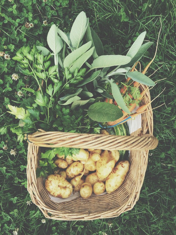 Processed with VSCOcam with t1 preset