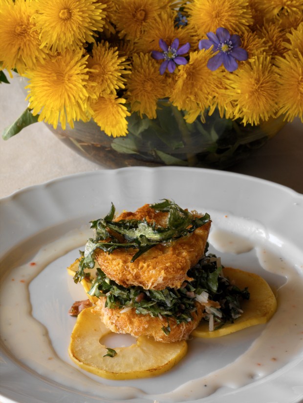 Prodotti_km_0_dente_di_leone (4)