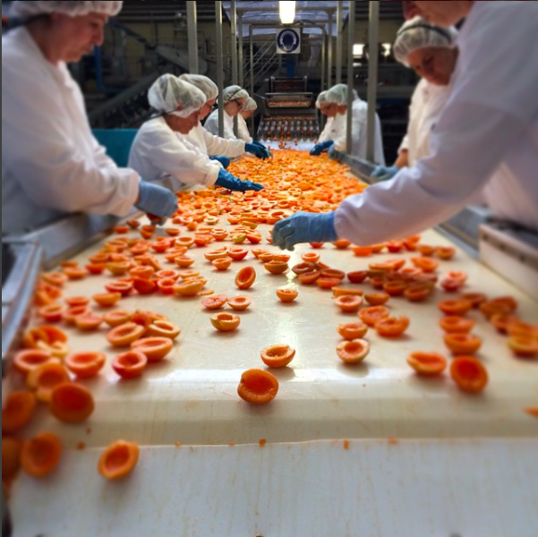 Schermata 2015-09-20 alle 23.52.12